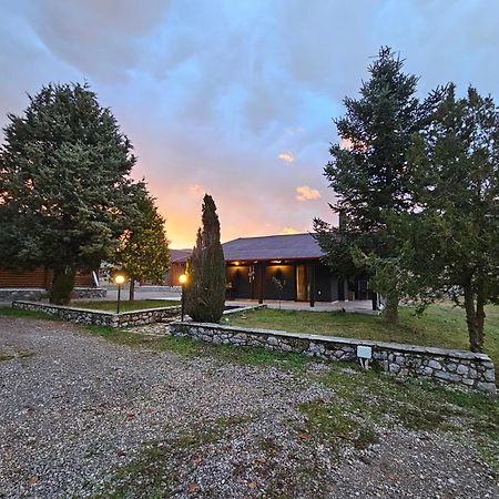 Orino Livadi Mount Villa IV Arachova Exteriör bild
