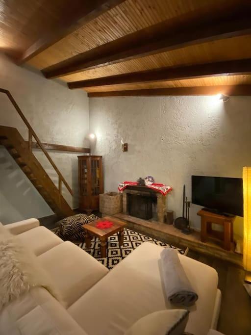 Orino Livadi Mount Villa IV Arachova Exteriör bild