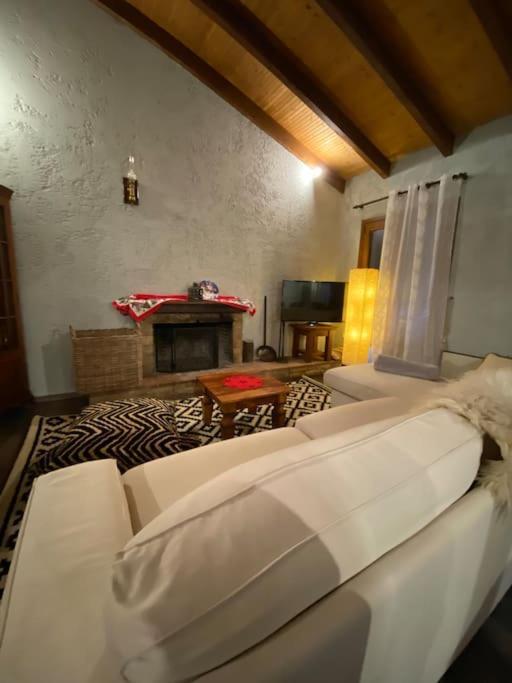 Orino Livadi Mount Villa IV Arachova Exteriör bild